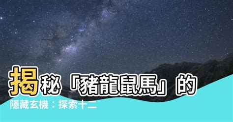 豬龍鼠馬是什麼意思|【豬龍鼠馬意思】揭秘「豬龍鼠馬」的隱藏玄機！快來一探十二生。